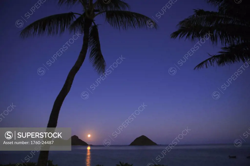 Hawaii, Oahu, Lanikai, Full moon rising over the Mokulua islands with palm trees in the foreground