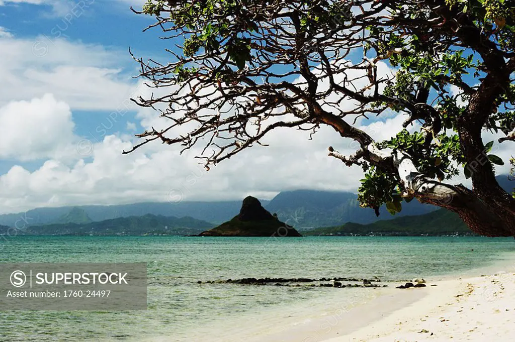 Hawaii, Oahu, Windward, Chinaman´s Hat, calm water, sandy beach with tree