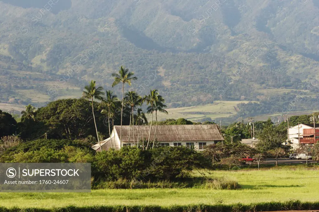 Hawaii, Oahu, North Shore, Haleiwa, tropical lanscape with house.