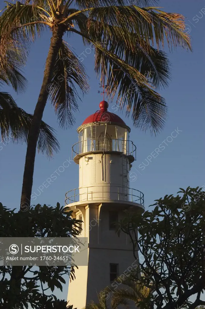 Hawaii, Oahu, Diamond Head Lighthouse framed with palm trees in the morning light.