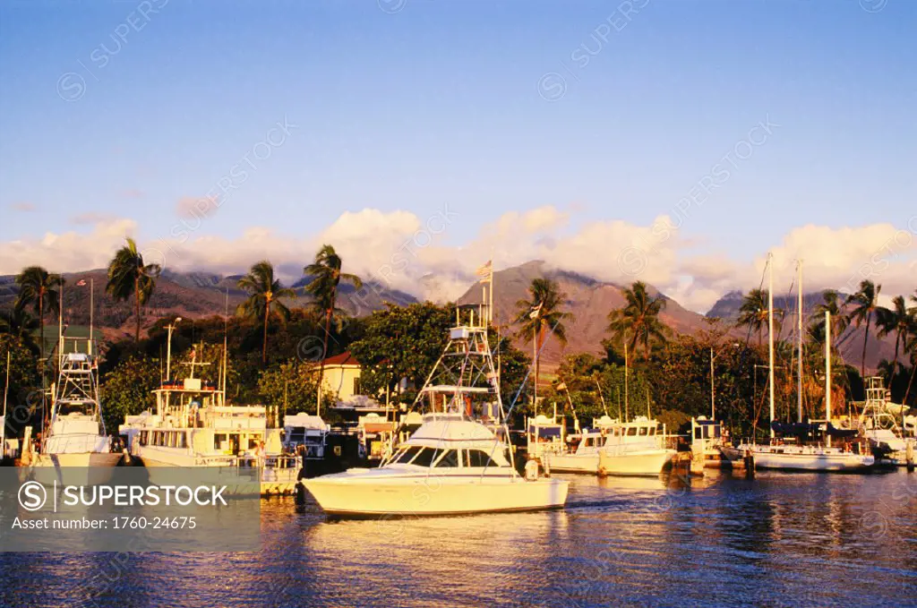 Hawaii, Maui, Lahaina, Boat harbor in the afternoon reflections on water