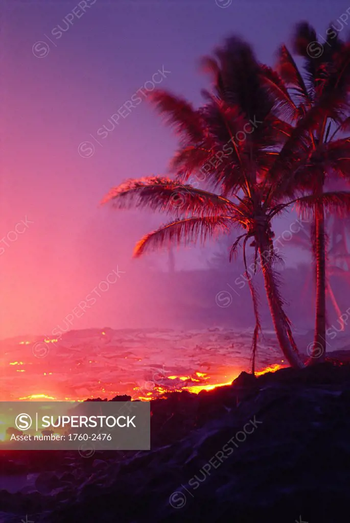 Hawaii, Big Island, Kalapana lava flowing into ocean, palm trees, glowing A27G