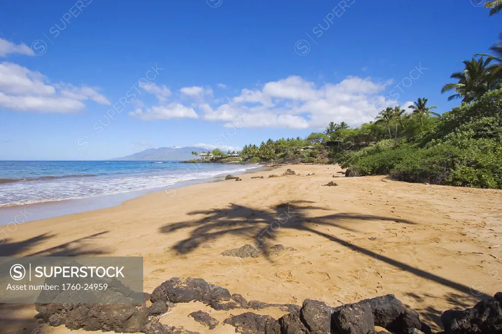 Hawaii, Maui, Makena, Chang´s Beach, Shadow of palm tree on sand.
