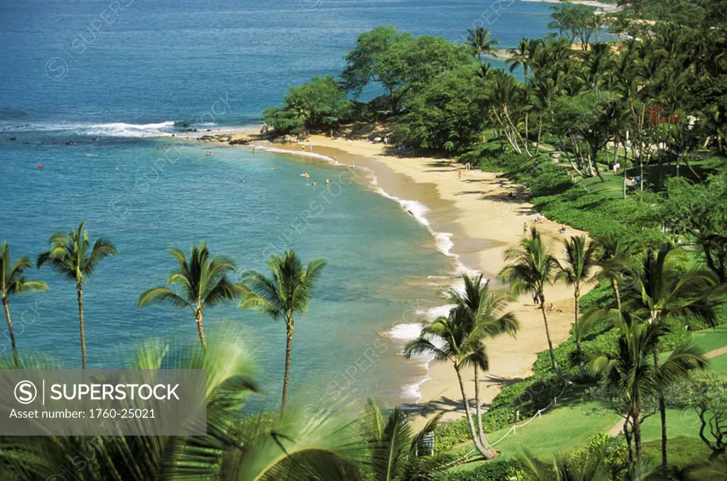 Hawaii, Maui, Wailea coast, Ulua Beach, palm trees in foreground, view from above.