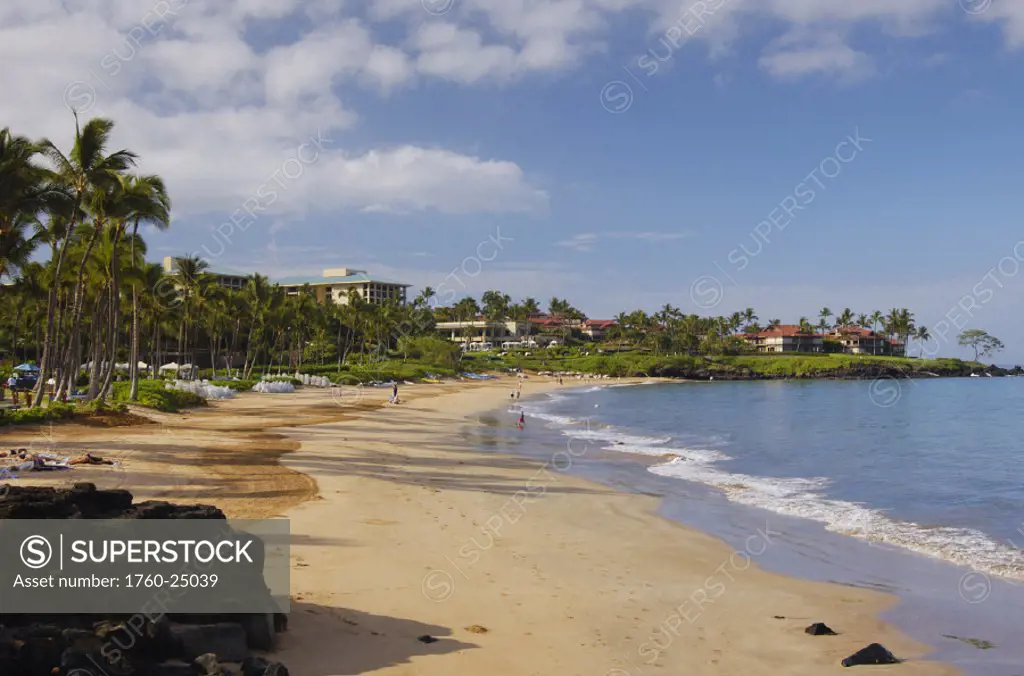 Hawaii, Maui, Wailea Beach and Resort, Palm tree lined tropical beach.