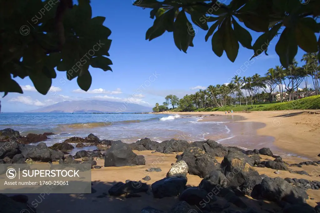 Hawaii, Maui, Wailea, Beautiful Ulua Beach, tree and shadow.