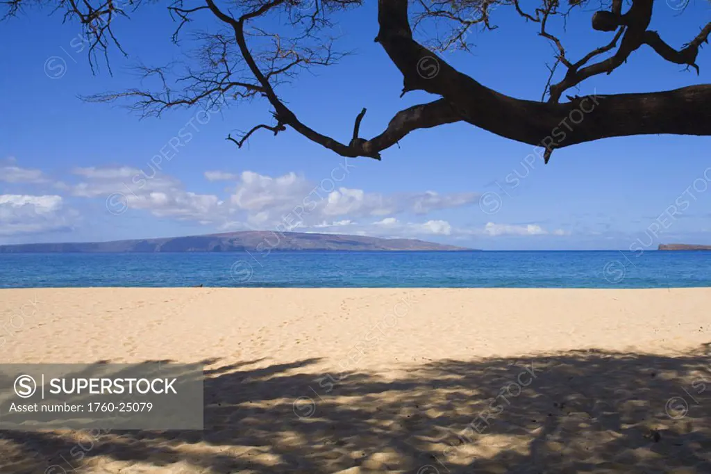 Hawaii, Maui, Makena, Big Beach, sandy beach with tree branch overhead and shadows on sand.