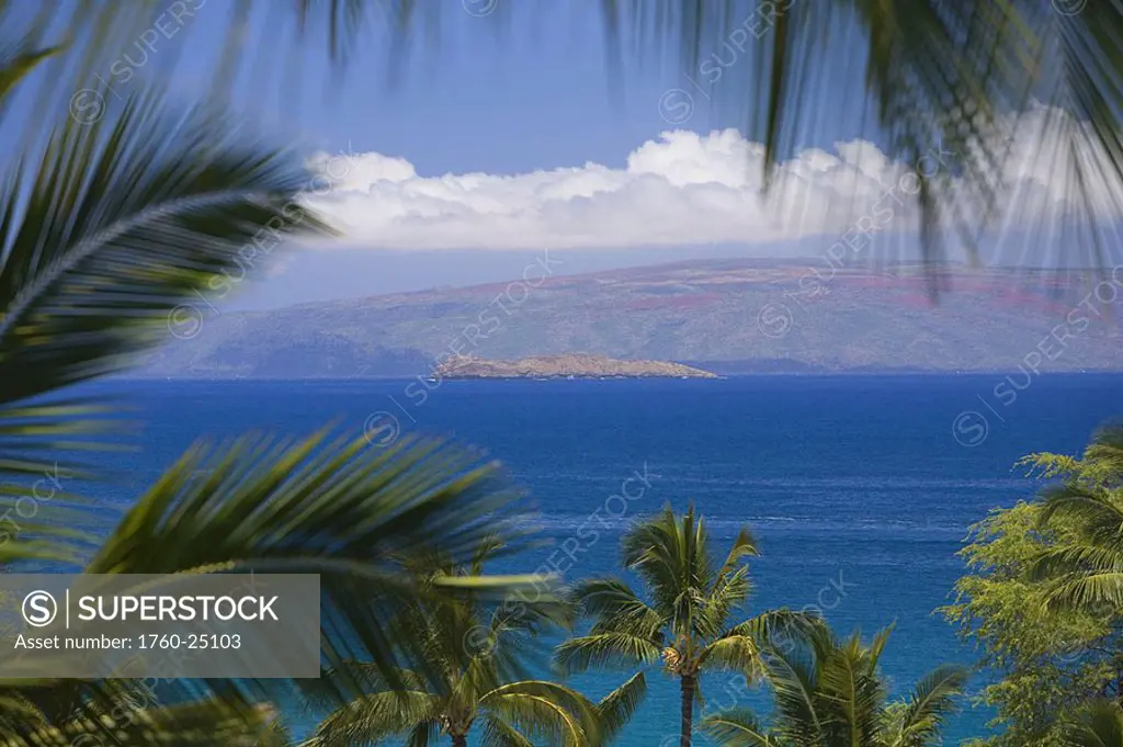 Hawaii, Maui, Molokini and Kahoolawe viewed through palm fronds from Wailea