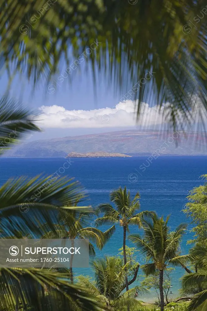 Hawaii, Maui, Molokini and Kahoolawe viewed through palm fronds from Wailea