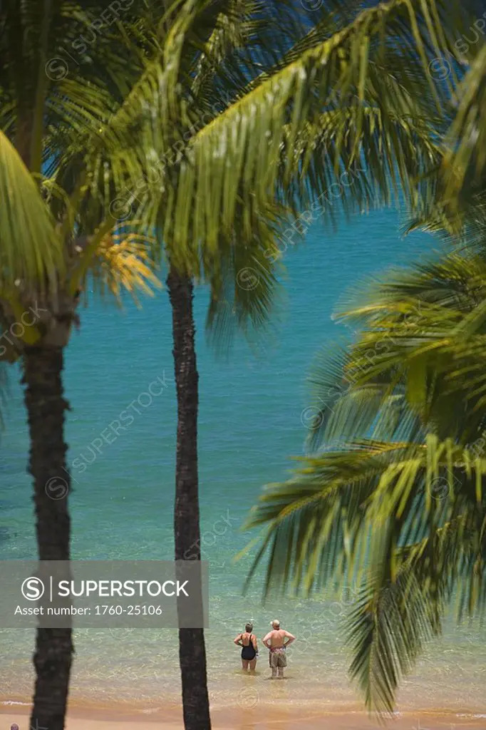 Hawaii, Maui, Wailea, Mokapu Beach, Senior couple stands knee deep in water looking out at ocean, palm trees surround
