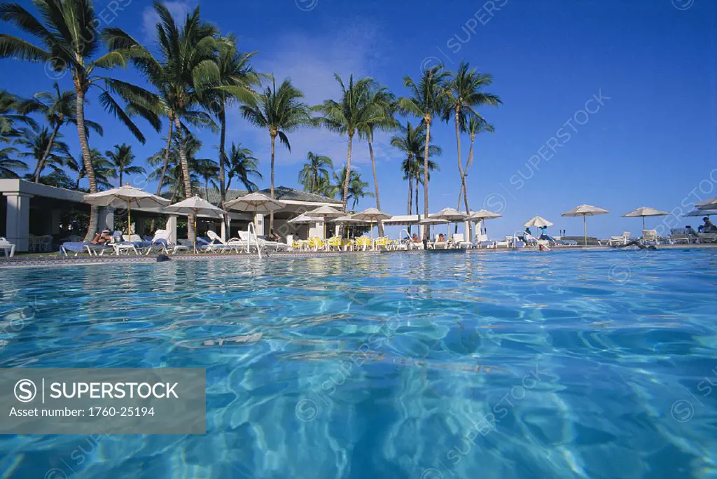 Hawaii Lanai The Manele Bay Hotel pool landscape w/ white lounge chairs, palm trees clear blue sky