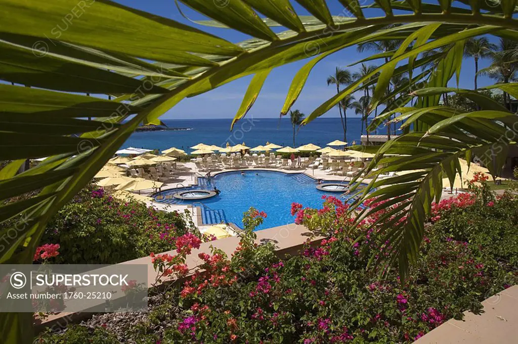 Hawaii, Lanai, Manele Bay beach Hotel pool and landscape to ocean, bougainvillea, framed by tropical palm frond