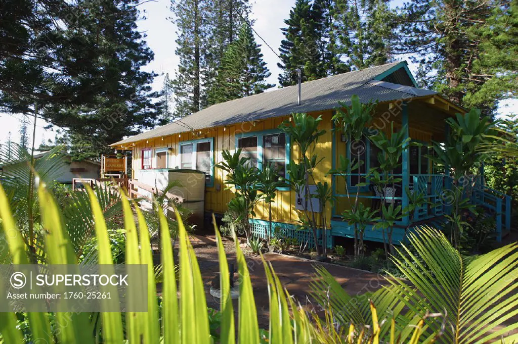 Hawaii, Lanai, Pele´s Garden Restaurant viewed from behind palm fronds.