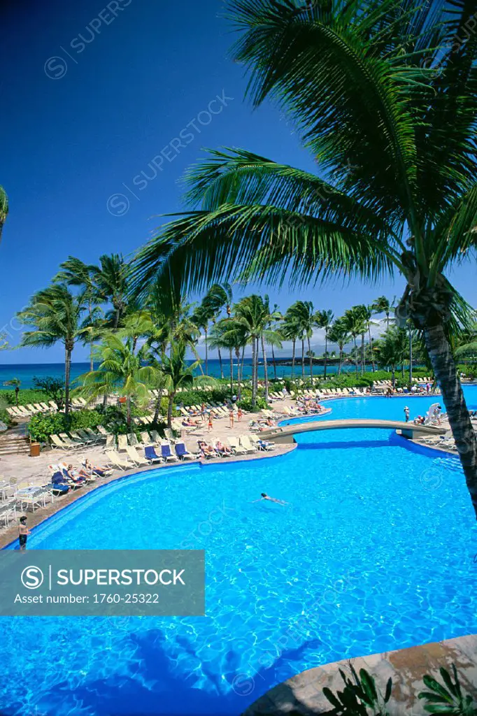 Hawaii, BigIsle, Hilton Waikoloa Kona pool w/ palm trees surrounding