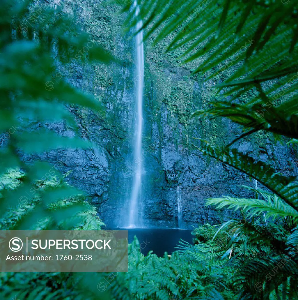 Hawaii, Kauai, NaPali Coast, Waterfall surrounded by ferns, framed, greenery A20E