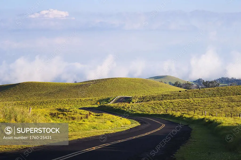 Hawaii, Big Island, South Kohala, Saddle Road curves through rolling grass hills near Waikii Ranch