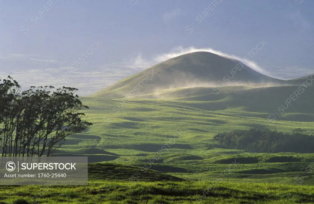 Hawaii, Big Island, Waimea, Parker Ranch, Trees, pasture and grassy hill covered with fog