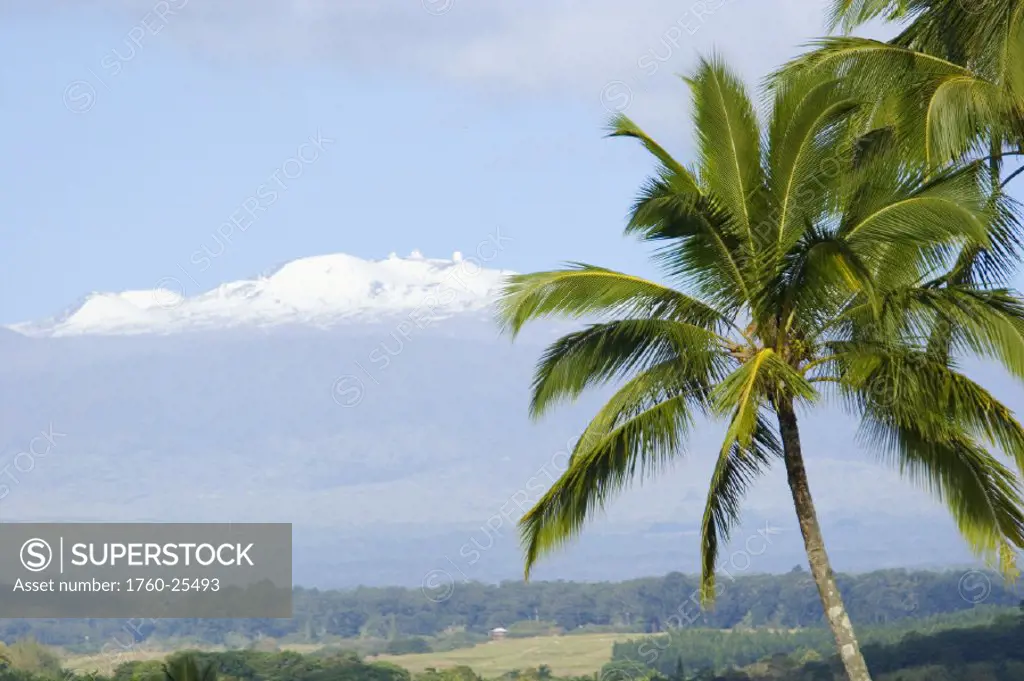 Hawaii, Big Island, Outside of Hilo, snow covered Mauna Kea in the background