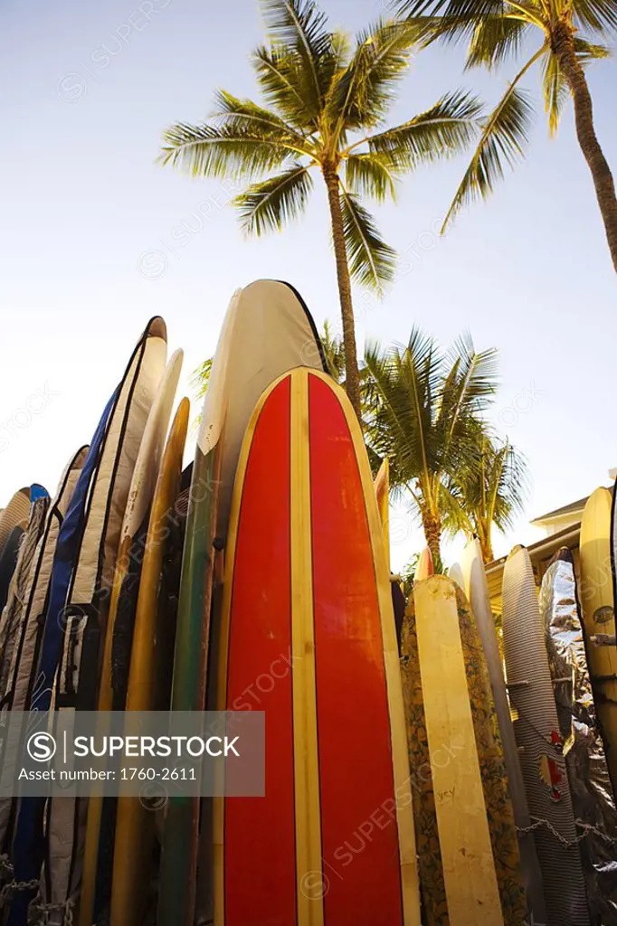 Hawaii, Oahu, Waikiki, close-up view of colorful surfboards in surfboard rack on Waikiki beach
