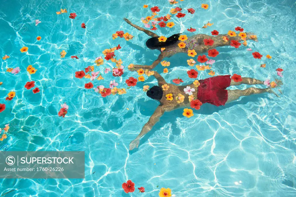 Couple swim underwater in pool, hibiscus flowers float @ surface, vu fr above C1087