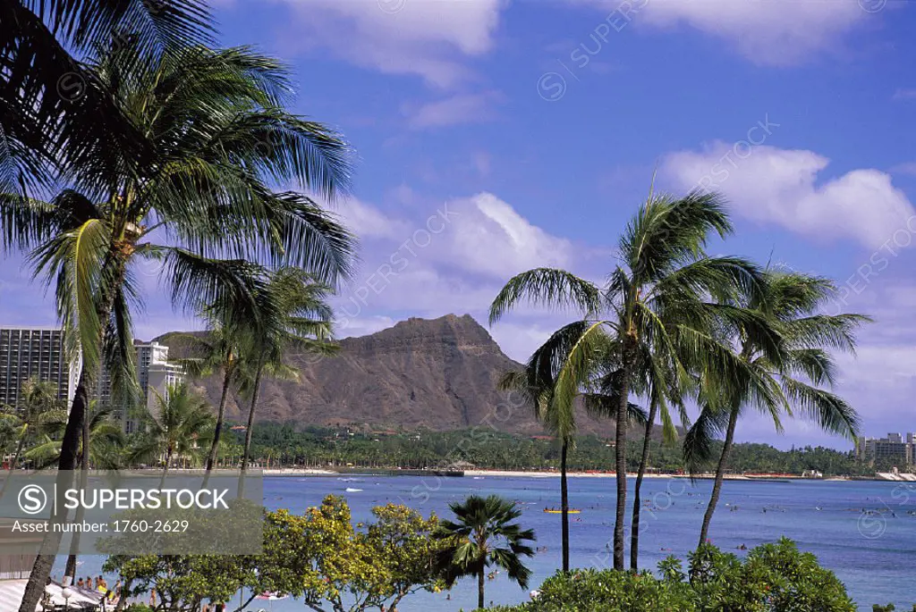 Waikiki trees & palms front, ocean activity Diamond Head bkgd blue sky D1539 white puffy clouds