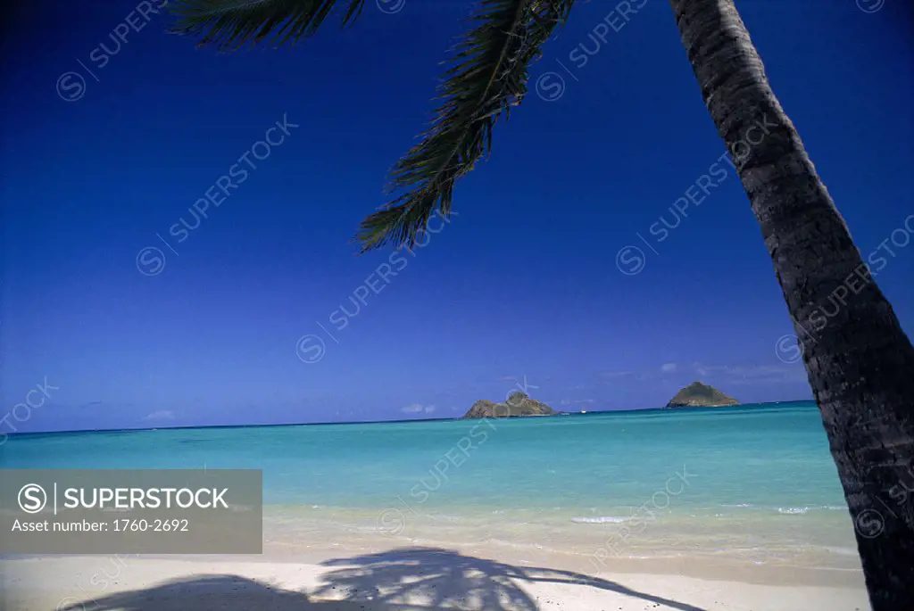 Lanikai beach shoreline palm & shadow white sand, calm ocean D1651 Mokulua Isles distant bkgd blue sky boat between along horizon