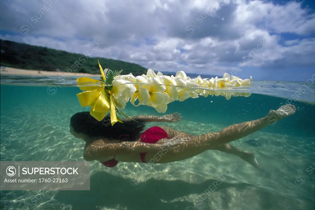 Hawaii, over/under view woman swimming near sandy bottom, plumeria lei D1129 surface