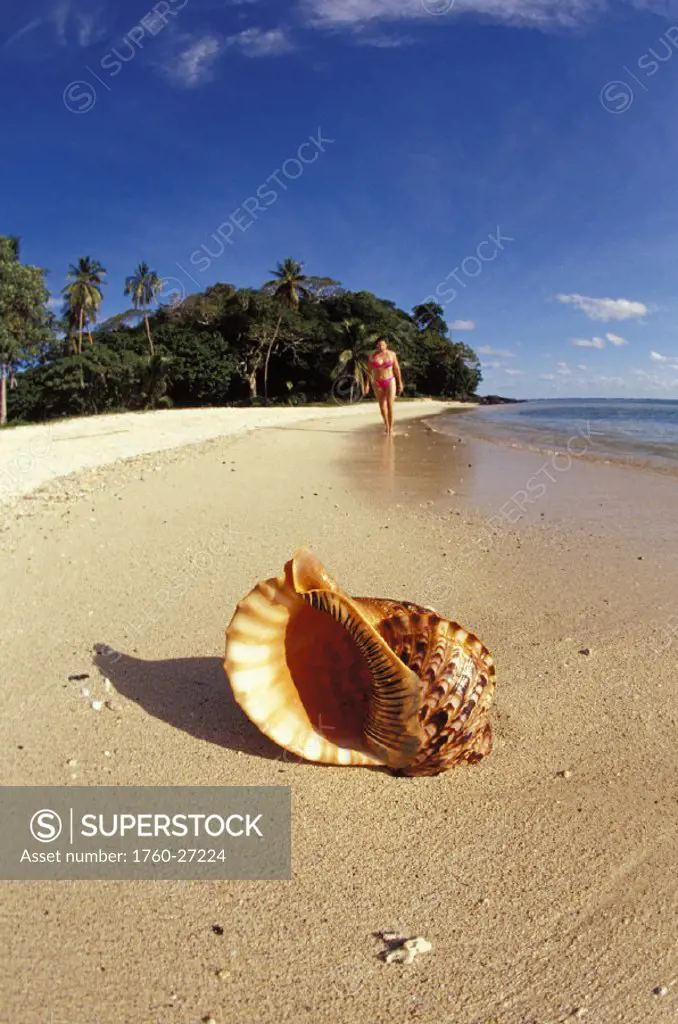 Fiji, Wakaya Island, woman walking background with shoreline and shell