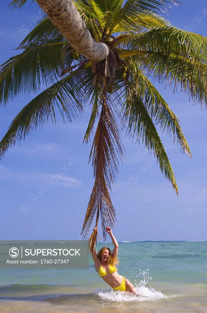 Hawaii, Oahu, Beautiful young woman hanging on a palm frond in water on a tropical beach