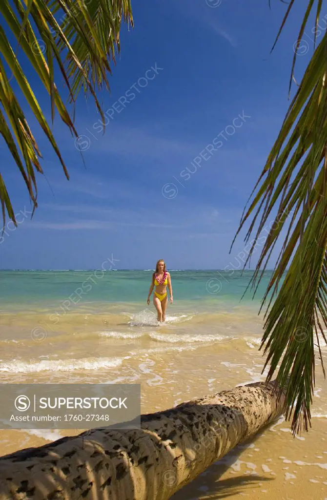 Hawaii, Oahu, Beautiful young woman walking in from water on a tropical beach