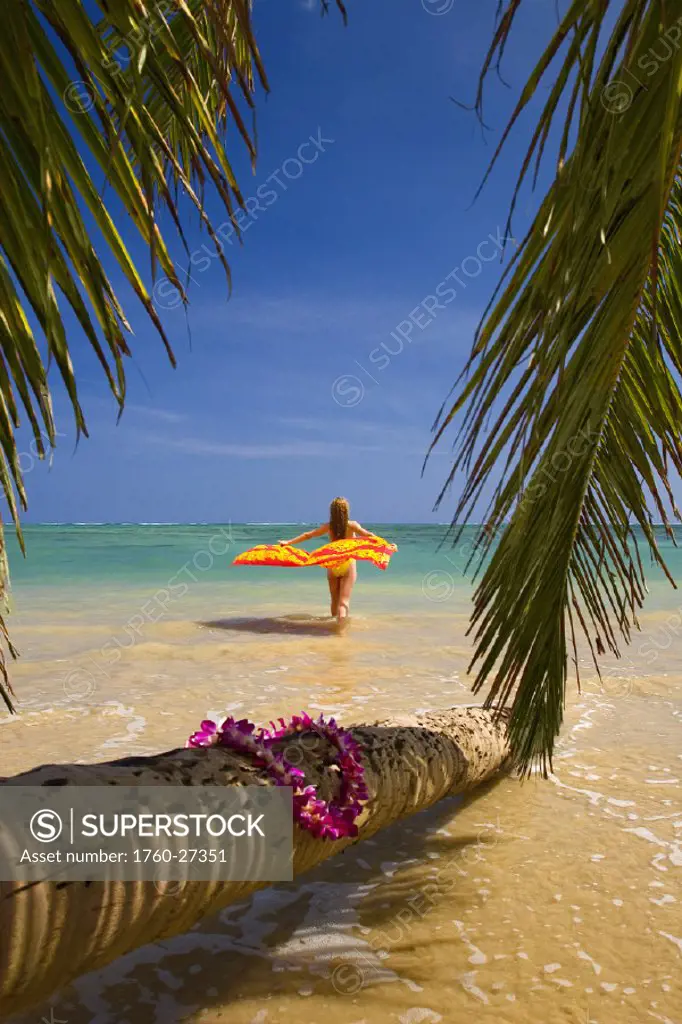Hawaii, Oahu, Beautiful young woman in water holding a bright pareo on a tropical beach