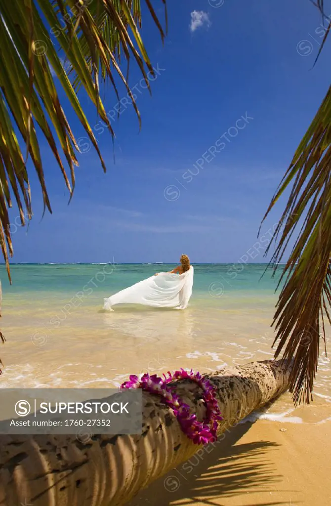 Hawaii, Oahu, Beautiful young woman in water holding a white pareo on a tropical beach