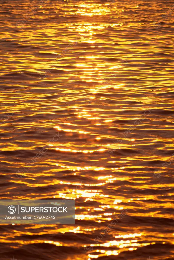 Ocean texture ripples at sunset, golden yellow waters B1447