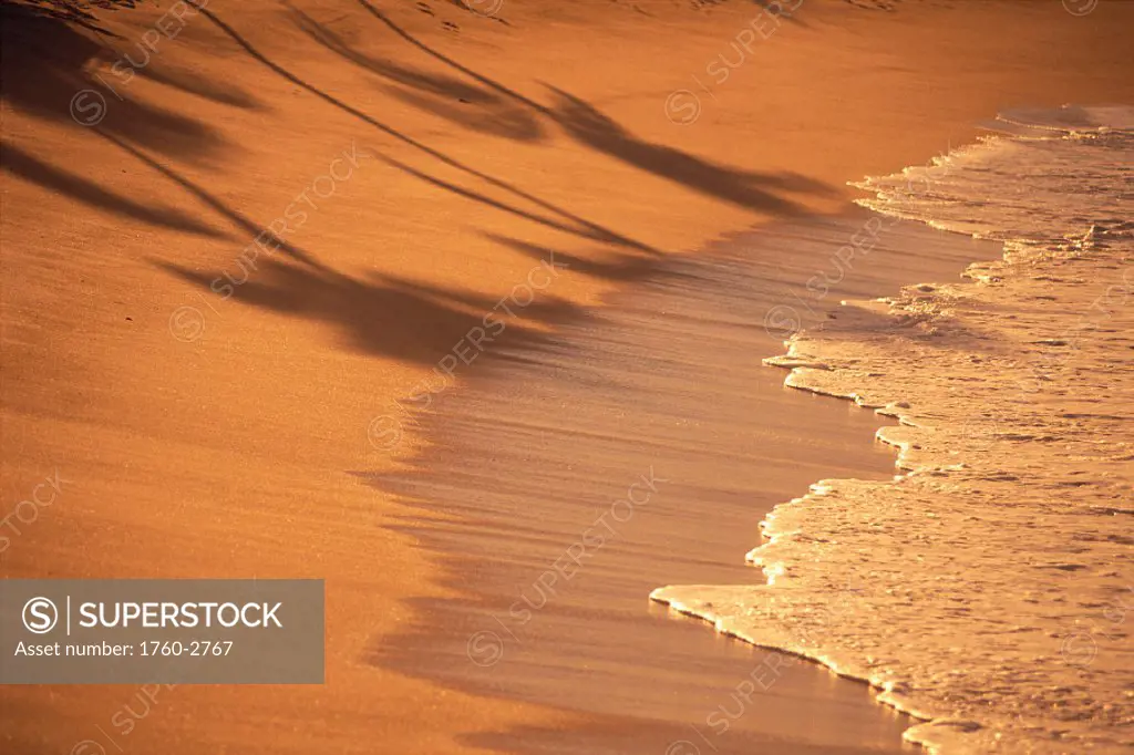 Small wave washing onto shoreline, palm trees reflecting on sand C1718