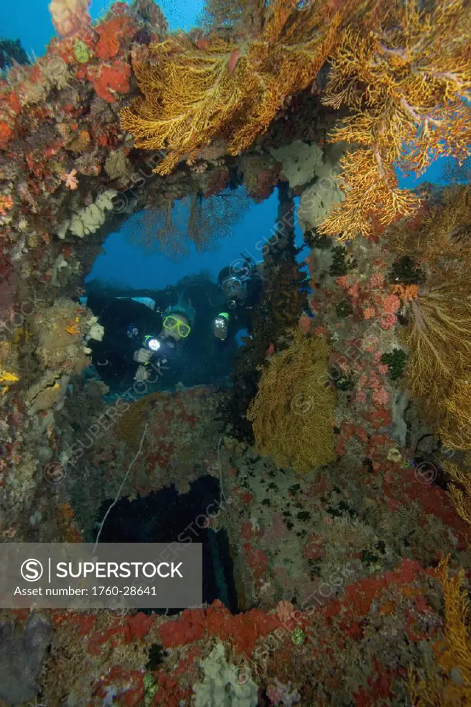 Micronesia, Palua, Scuba divers explore the Buoy 6 wreck.