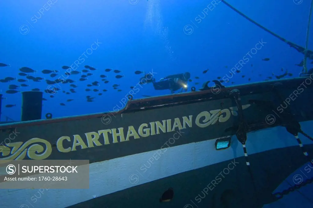 Hawaii, Maui, Lahaina, Diver explores the Carthaginian, sunk as an artificial reef December 2005