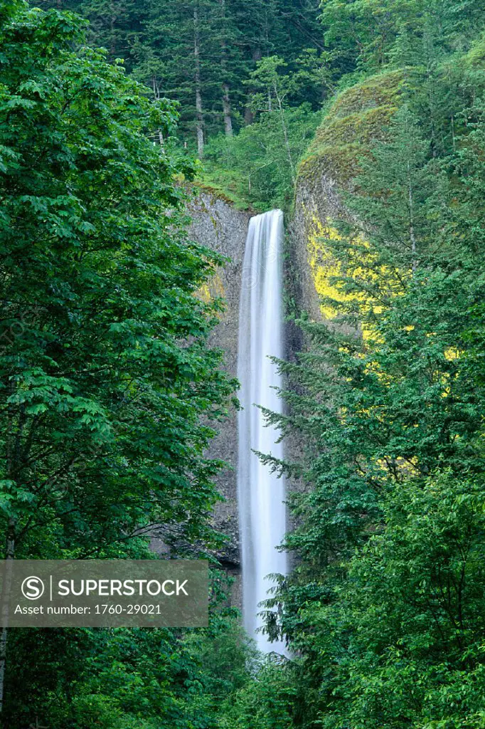 Oregon National Scenic Area, Columbia River Gorge, Latourell Falls
