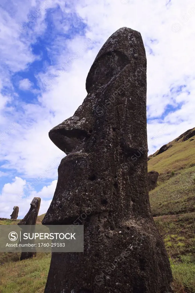 Easter Island, Rano Raraku area, Close-up of Moai statue on grassy hillside.