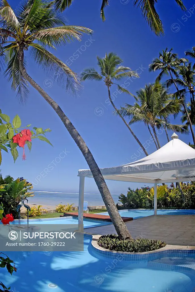 Fiji, Viti Levu, Coral Coast, Hidewaway Resort, palm trees and flowers surround the swimming pool