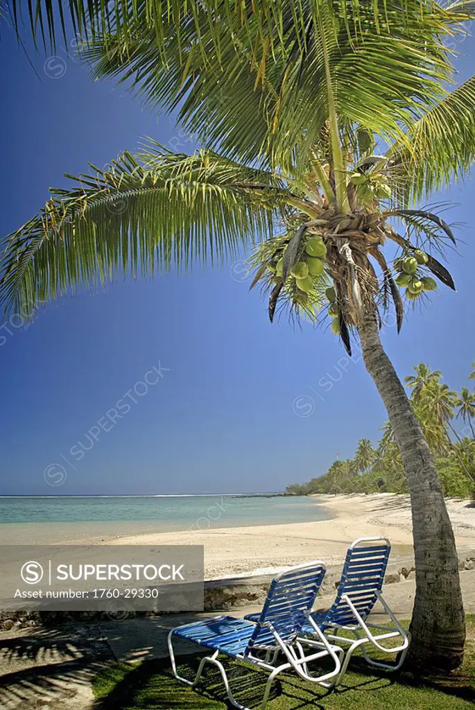 Fiji, Viti Levu, Coral Coast, beach with two beachchairs under a palm tree facing out towards sandy beach and ocean