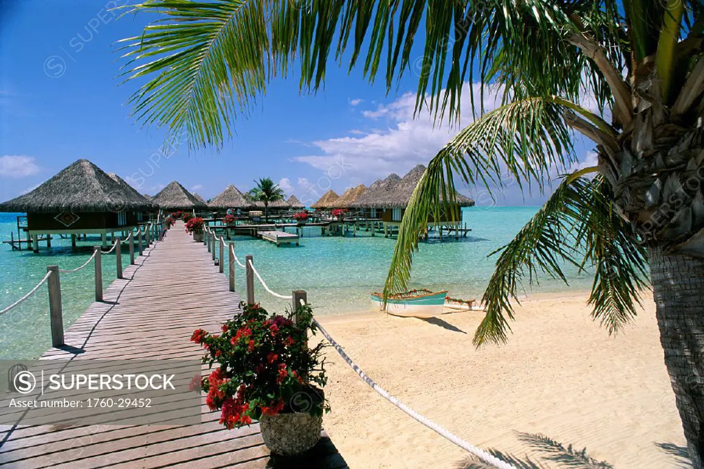 Bora Bora, Moana Beach Park royal, walkway to bungalows, canoe on sand, palm tree