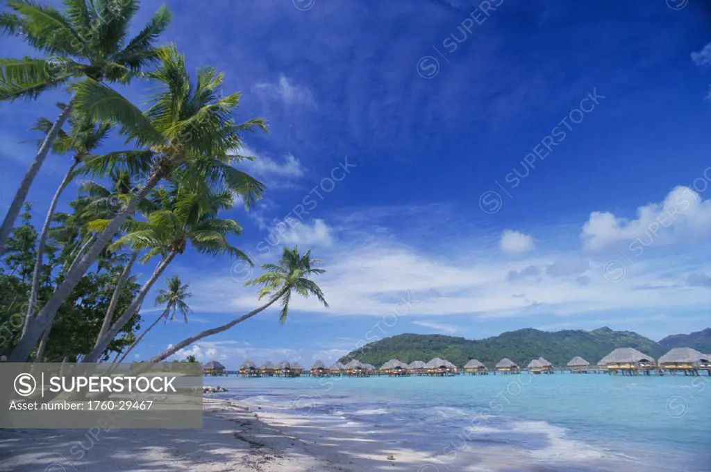 FP, Bora Bora Lagoon Resort bungalows in distance over shallow ocean, palms line white sand beach, blue sky