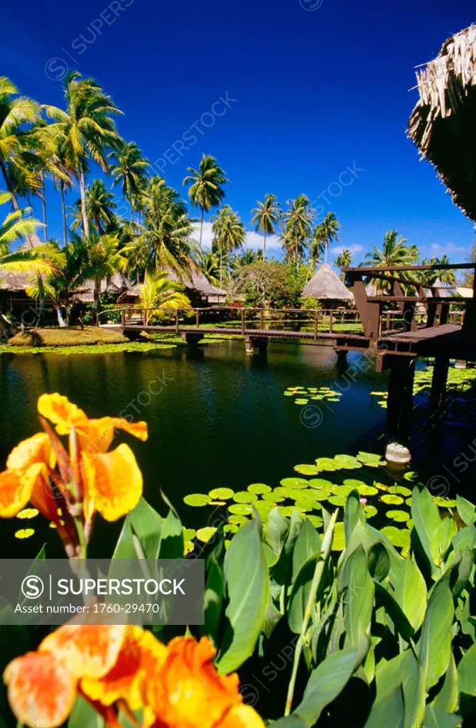 French Polynesia, Tahiti, Bali Hai Hotel, palm trees and thatched huts, lily pond