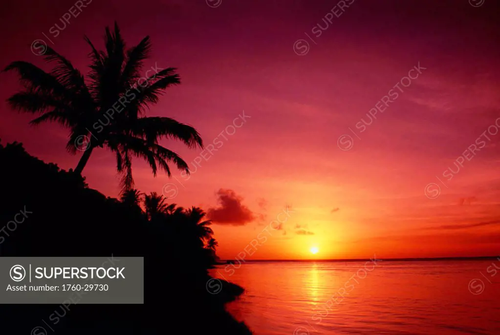 Guam, Pago Bay, sunrise and palm tree, bright pink sky