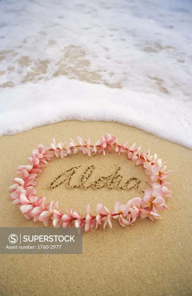 Close-up of pink plumeria lei with aloha written in sand, foaming shore water