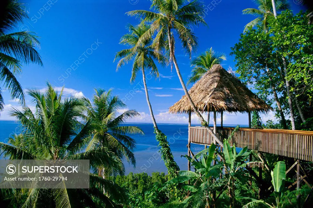 MICRO, Pohnpei, Micronesian hut surrounded by palms, overlooking ocean
