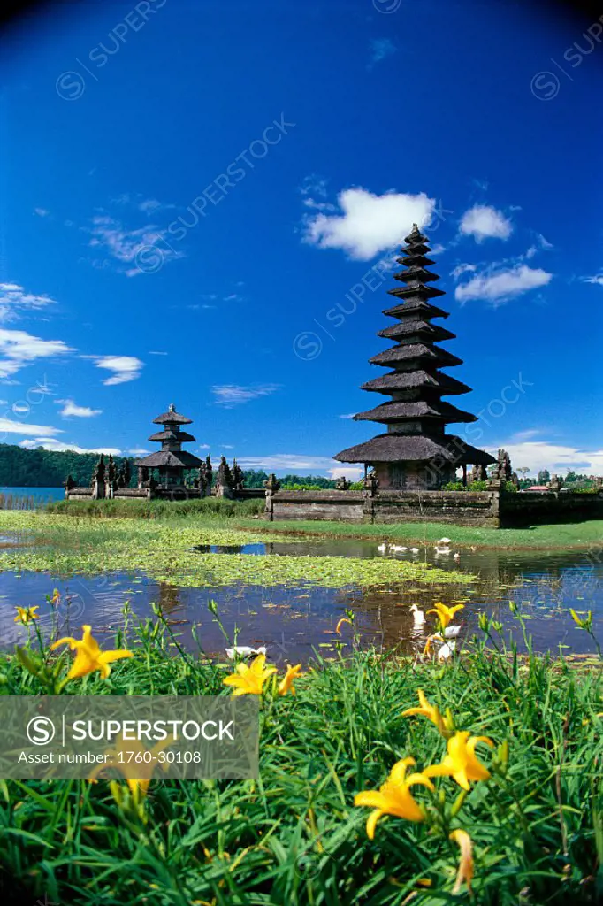 Indonesia, Bali, view of Ulun Danu Temple, blue sky, field of flowers