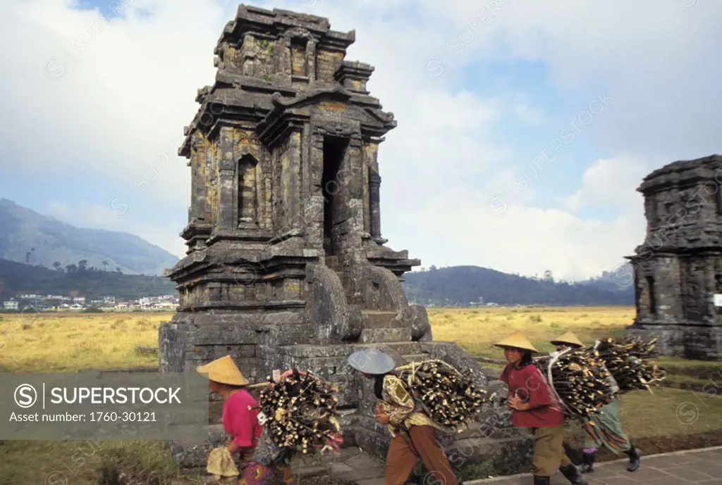 Indonesia, Java, Dieng Plateau, Arjuna Temple complex, local women carry bundles of wood on back
