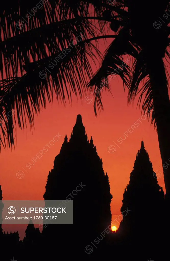Indonesia, Java, Prambanan,  Silhouette of temple at sunset with palm tree