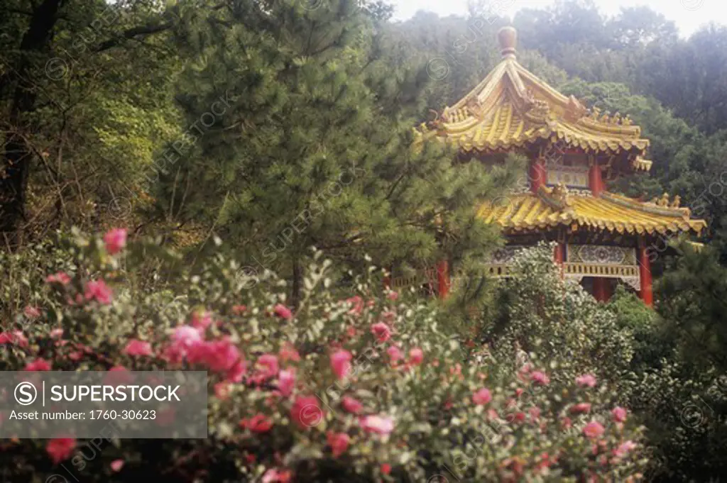 Taiwan, Taipei, Panchiao suburb, The Lin Pen-Yuan Gardens with pagoda